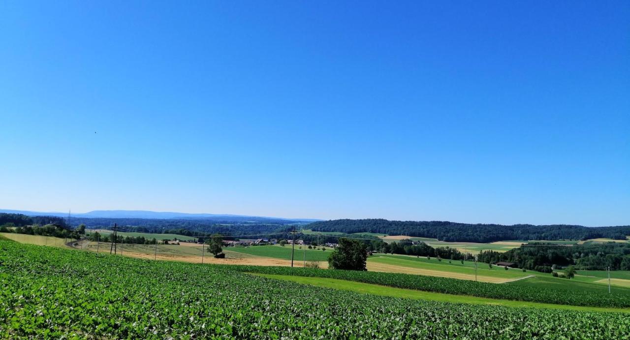 A Casa Lägenhet Thalheim an der Thur Exteriör bild